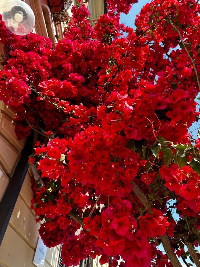 Mariviva Guest House Terracina Bagian luar foto